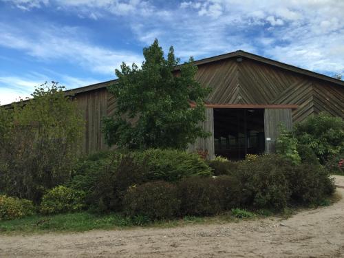 Haras Des Bussières photo 22