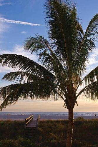 Residence Inn by Marriott St. Petersburg Treasure Island in St Pete Beach, USA