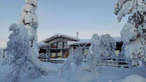 Villas Karhunpesa Inari
