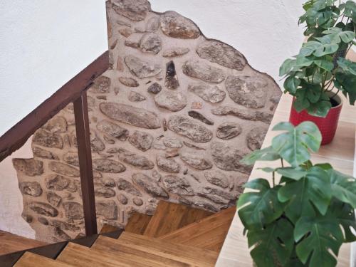 Létesítmények, L'era del Ter in Szent Pau de Seguries