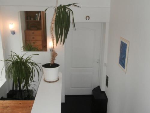 Private Apartment For You - image 12