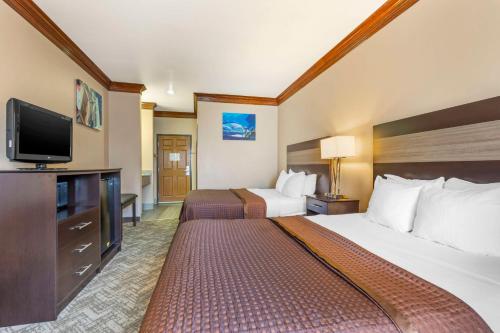 Best Western Fort Worth Inn and Suites