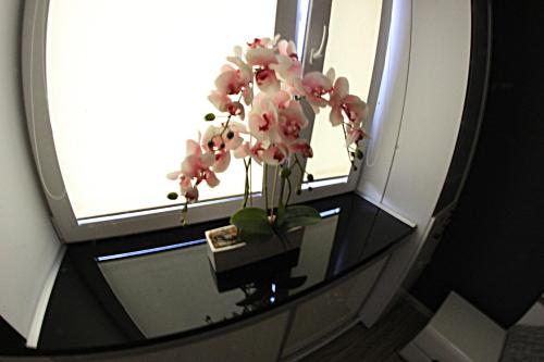 Black & White - image 8