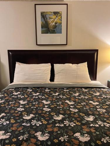 Queen Room image 6