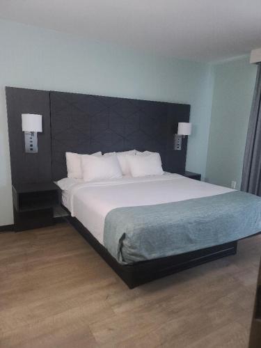 Best Western Ocean Reef Suites - image 11