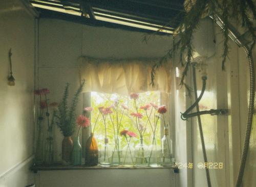 納普歐蒂皮民宿 (Nap o TEEPEE Homestay) near 瘋狂之家