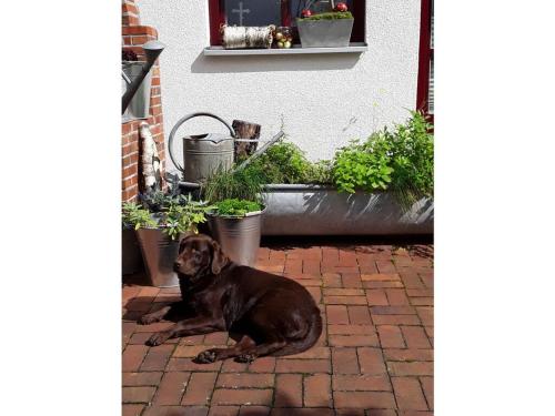 Stork's Nest Modern retreat Stork's Nest Modern retreat