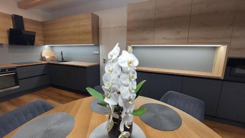 廚房, Holiday House Sabala 3 in 斯塔拉列斯納