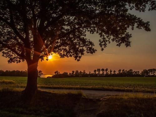 Drööm unter Reet 1 Comfortable holiday residence