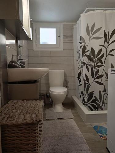 Mary's downtown apartment 5