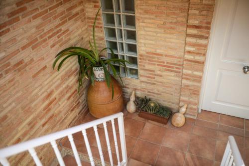 Casa Celeste - image 2