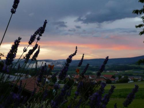 Beautiful apartment in the Bavarian Forest with balcony and whirlpool tub