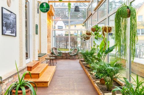Aparthotel Tropenhaus Bansin - image 14