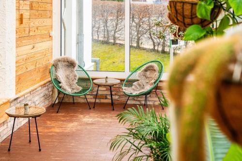 Aparthotel Tropenhaus Bansin - image 12