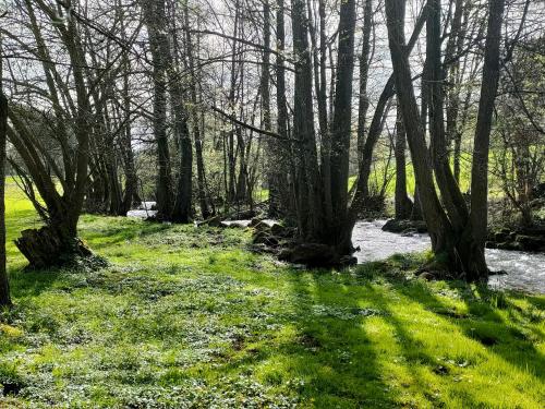 Wind in den Weiden, Übernachten am Bachlauf (Wind in den Weiden, Ubernachten am Bachlauf) in Brachttal