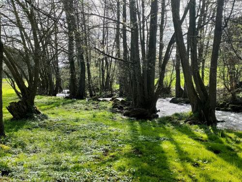 Wind in den Weiden, Übernachten am Bachlauf