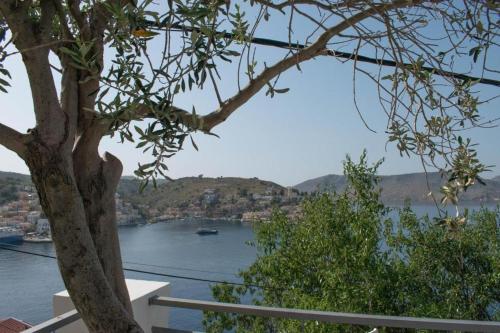 Marea Studios, Symi (photo 6)