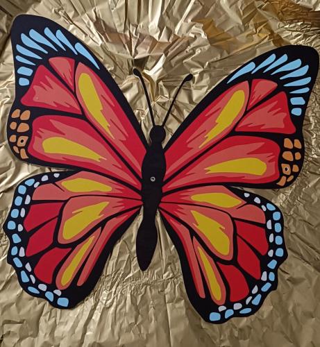 Mariposa gîte à louer La Maddalena