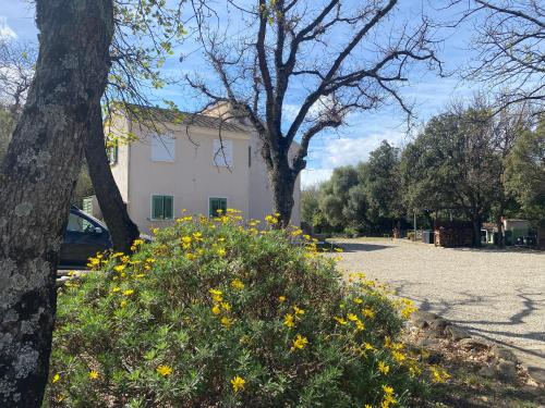 U Farniente - Chambre d'hôtes - Patrimonio