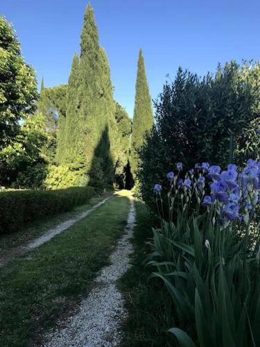 Luxury Provencal Villa amidst own vinyards