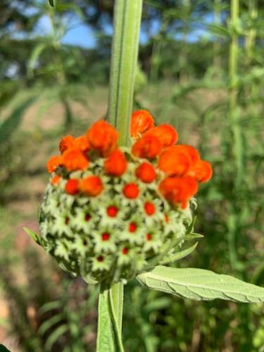 Tranquility-Ukuthula Guesthouse Tranquility-Ukuthula Guesthouse