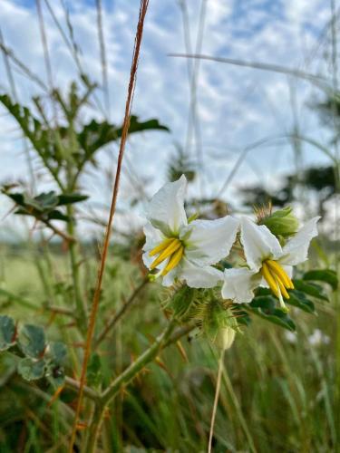 Tranquility-Ukuthula Guesthouse Tranquility-Ukuthula Guesthouse