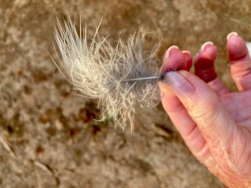 Tranquility-Ukuthula Guesthouse Tranquility-Ukuthula Guesthouse