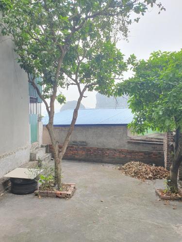 Bee Hostel in Hạ Long