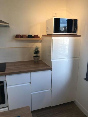 Paris Bois de Vincennes Appartement 50 m2