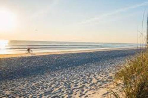 Completely refurbished flat near the beach