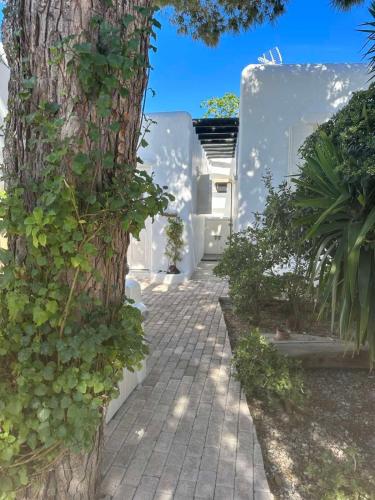 Cassaris Mykonos Cassaris Mykonos