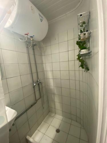 M&C Studio Mantouki M&C Studio Mantouki