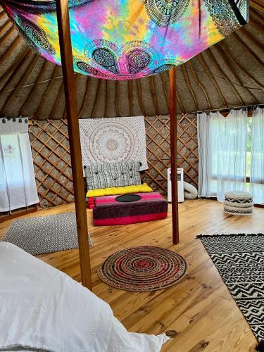 Spa Les Jardins De Chiron Lodges et Tiny House dans le sud - image 11