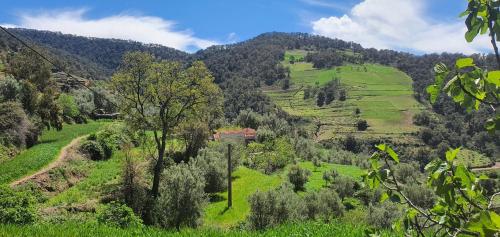 دار الضيافة تازكة Maison d'hôtes Tazekka