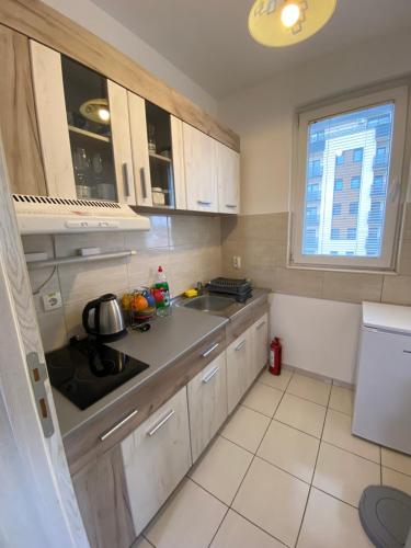 SKY2 APARTMAN in Bajnat