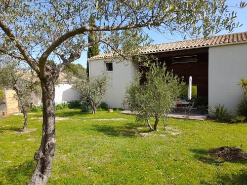 Villa Le Muscat