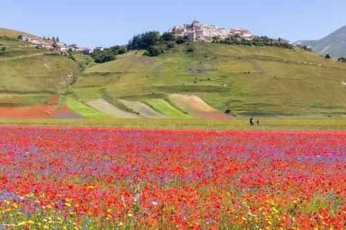 Agriturismo Monte Veletta - Hotel - Castelluccio