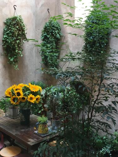 Triplex avec terrasse, aux pieds de la cathédrale, 5 personnes, Štrasburk (fotografie 9)