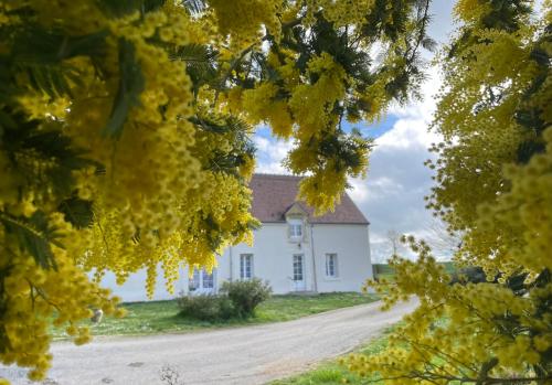 Les mimosas gîte à louer Graçay
