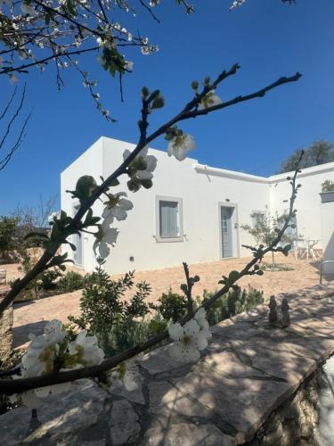 Serendipity Living Studio in Livadi (Cythera)