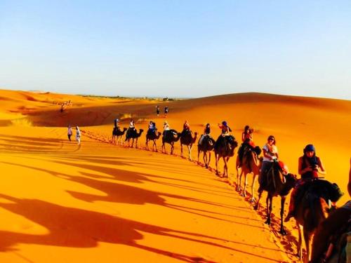 Enjoy Moda Camp Merzouga tours- Camel sunset sunrise Quad Sunboarding ATV Merzouga