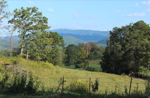 Cypress Ridge in Townsend, USA