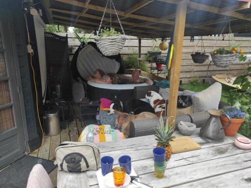 "Tempat Senang" chalet on the beautiful Veluwe with airco sauna bbq jacuzzi beamer and dog "Tempat Senang" chalet on the beautiful Veluwe with airco sauna bbq jacuzzi beamer and dog