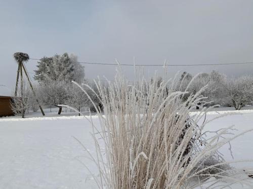 Russet & Rowanberry - Russet Holiday House