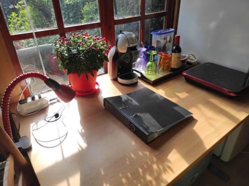 "Tempat Senang" chalet on the beautiful Veluwe with airco sauna bbq jacuzzi beamer and dog "Tempat Senang" chalet on the beautiful Veluwe with airco sauna bbq jacuzzi beamer and dog