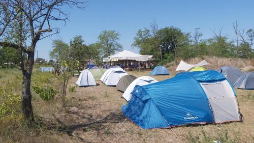 Camping Letea Himalaya