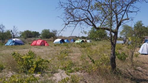 Camping Letea Himalaya