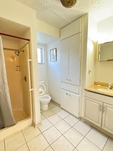 1326-#3 downtown comfy & clean 1bedroom unit in San Antonio, USA