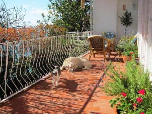 Seaside holiday house Podaca, Makarska - 22964