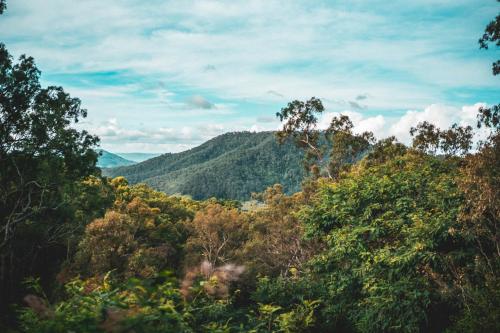 Luxurious Hinterland Guest House with HEATED POOL Sleeps 10 Brisbane Scenic Rim Gold Coast